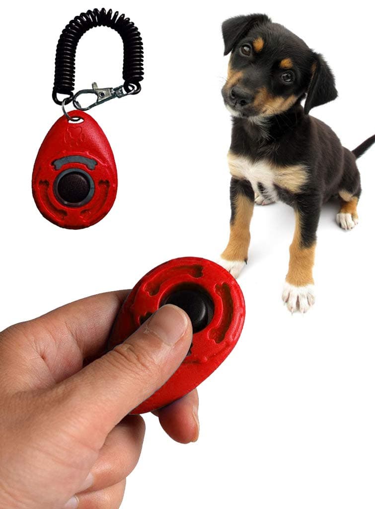 Sage Square Pet Training Clicker with Wrist Strap and Strap Hook for Dog/Cat/Kitten/Puppy/Bird (Red)