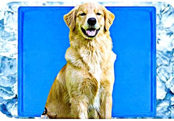 Petahouse (New Edition) Soft Cooling Pad for Dog XL with Activated Self Pressure Comfort Mat | Heat Relief Pet Bed Specially Designed for Extra Large Breeds (Pack of 1)