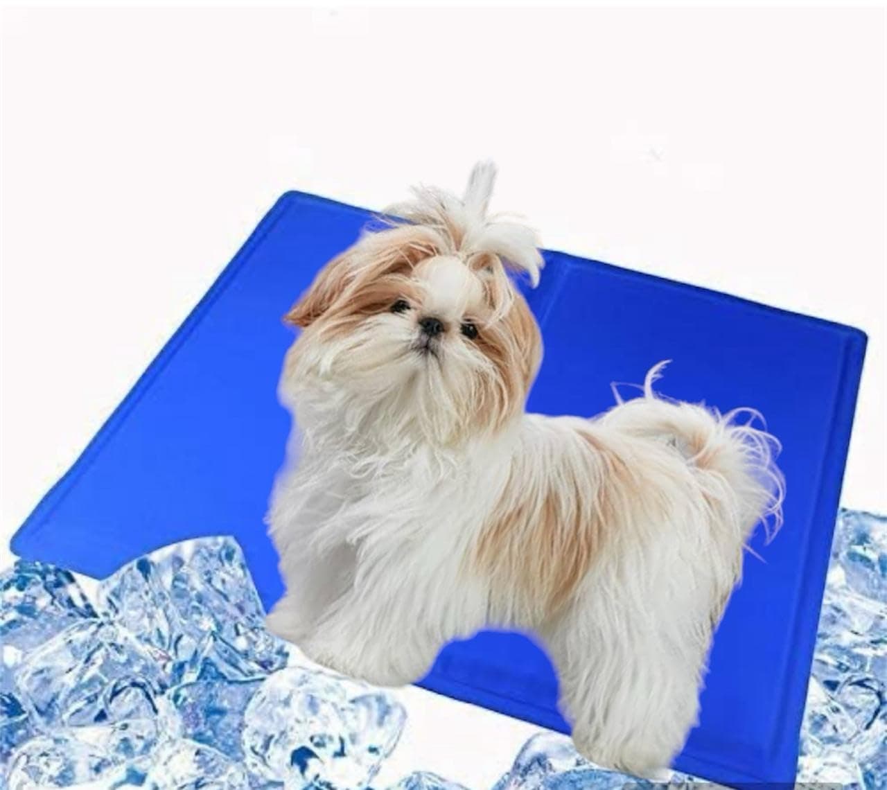 D&C PAWS Pet Cooling Mat for Dogs | 90 x 50 cm Non-Toxic Gel Cool Mat for Dogs Perfect for Hot Summer Days | Large Self Cooling Gel Mat Medium Size Collie (Large)