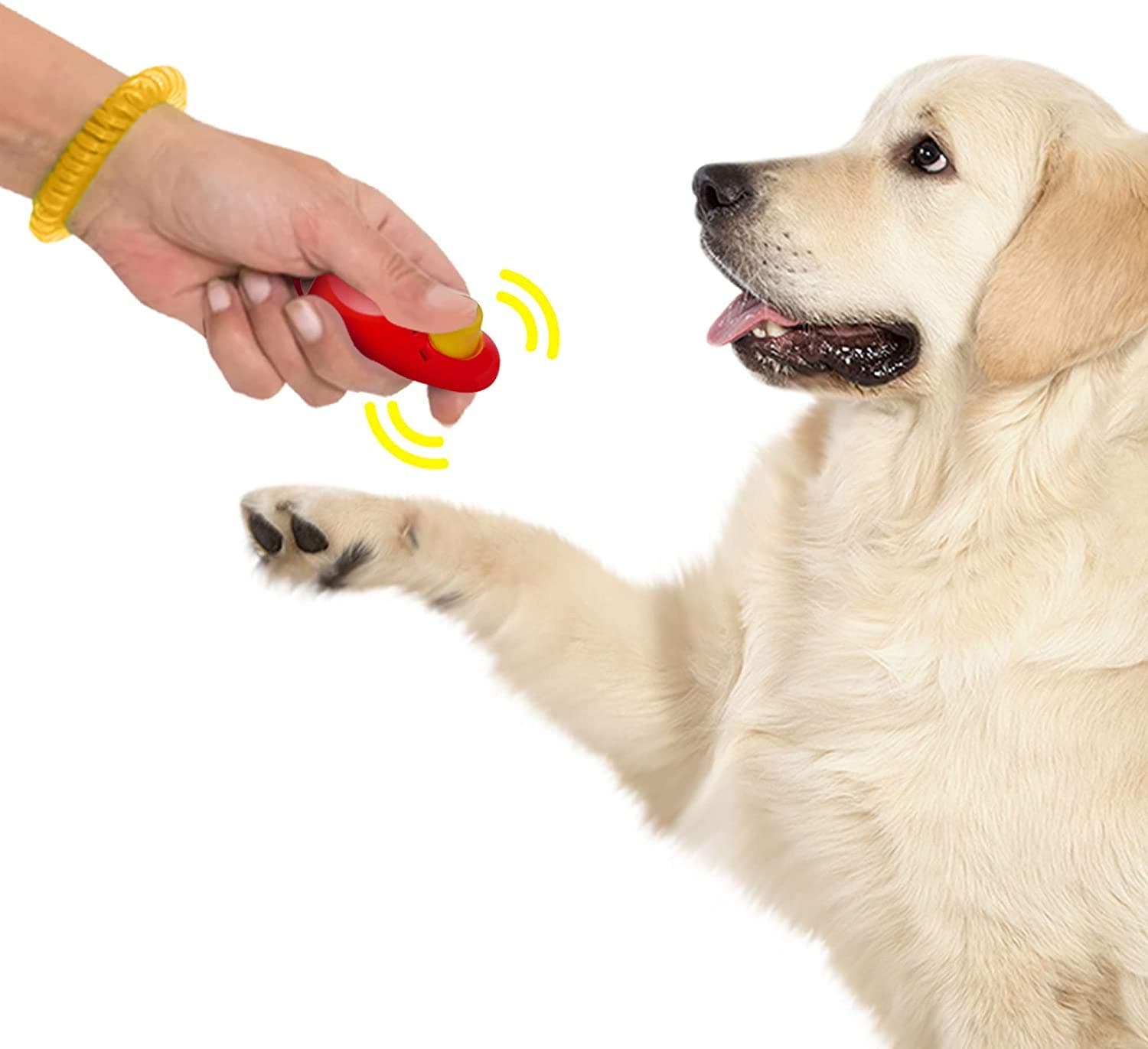 TAIYO PLUSS DISCOVERY® Pet Training Clicker, Size: L-6.5 cm, Pet Training Clicker with Wrist Bands Strap, Training & Obedience Aid (RED)