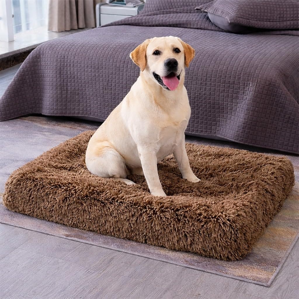 ZEXSAZONE High-Density Rebond Foam Cooling Dog Bed for Summer | 90 x 60 CM Large Soft Rectangular Pet Bed | Washable Thick Cushion with Anti-Slip Bottom | Indoor Use (Large, Rainbow)