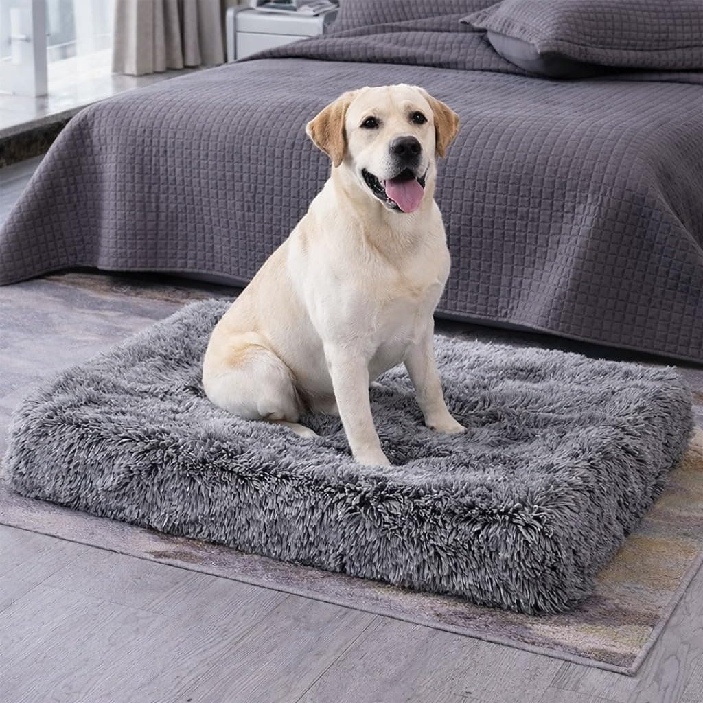 ZEXSAZONE High-Density Rebond Foam Cooling Dog Bed for Summer | 90 x 60 CM Large Soft Rectangular Pet Bed | Washable Thick Cushion with Anti-Slip Bottom | Indoor Use (Large, Grey)