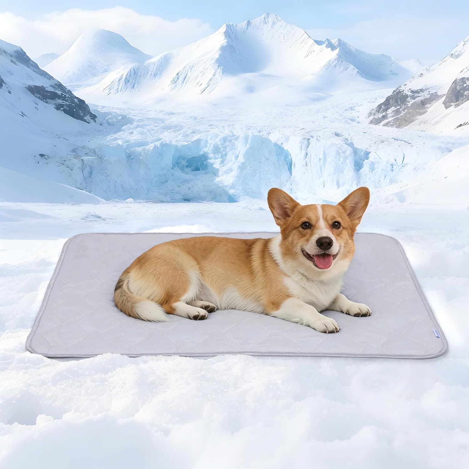 Chicute Premium Cooling Blanket for Medium Dogs - Breathable Summer Cold Pet Throw Blanket, Q-MAX>0.5, Washable Durable Soft Cooling Dog Mat for Hot Weather, Grey, 30x40