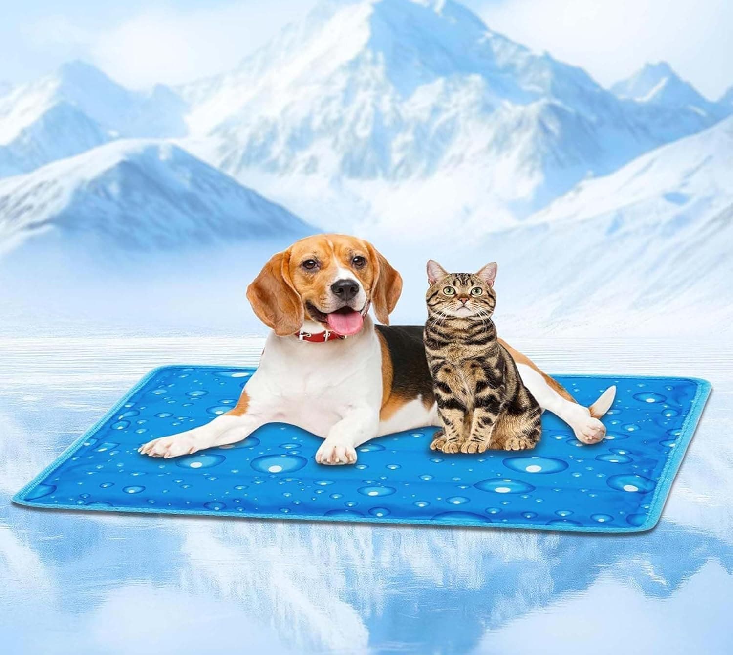 D&C PAWS Polyester Soft Cooling Bed Pad for Dogs | 65 x 50cm Non-Toxic Gel Cool Mat for Dogs Perfect for Hot Summer Days | Large Self Cooling Gel Mat Medium Size Collie (Size-MD) Pack of 1, Blue