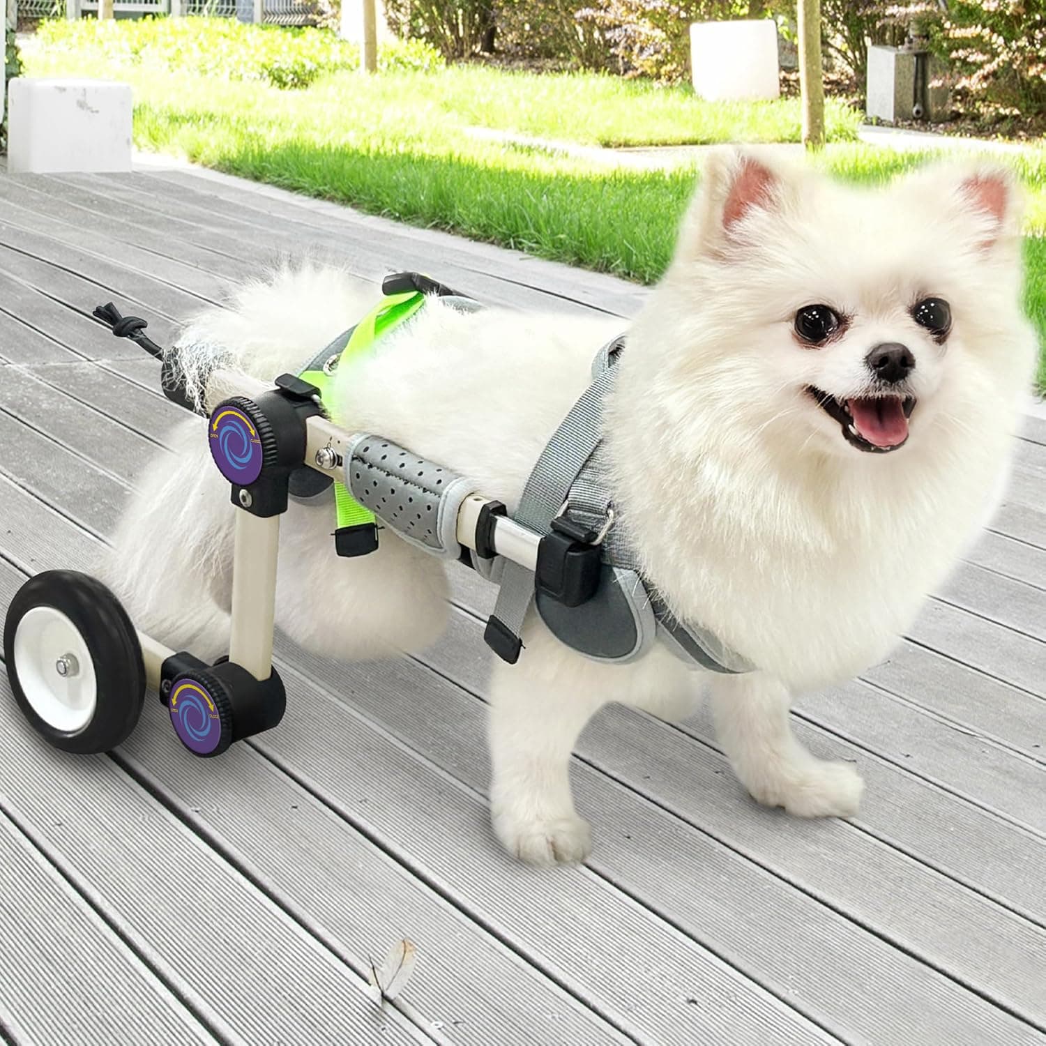Adjustable Dog Wheelchair for Back Legs Mobility Support Lightweight Pet Wheelchair for Disabled Hind Legs Walking Stable Dog Cart for Pets, Extra Small White