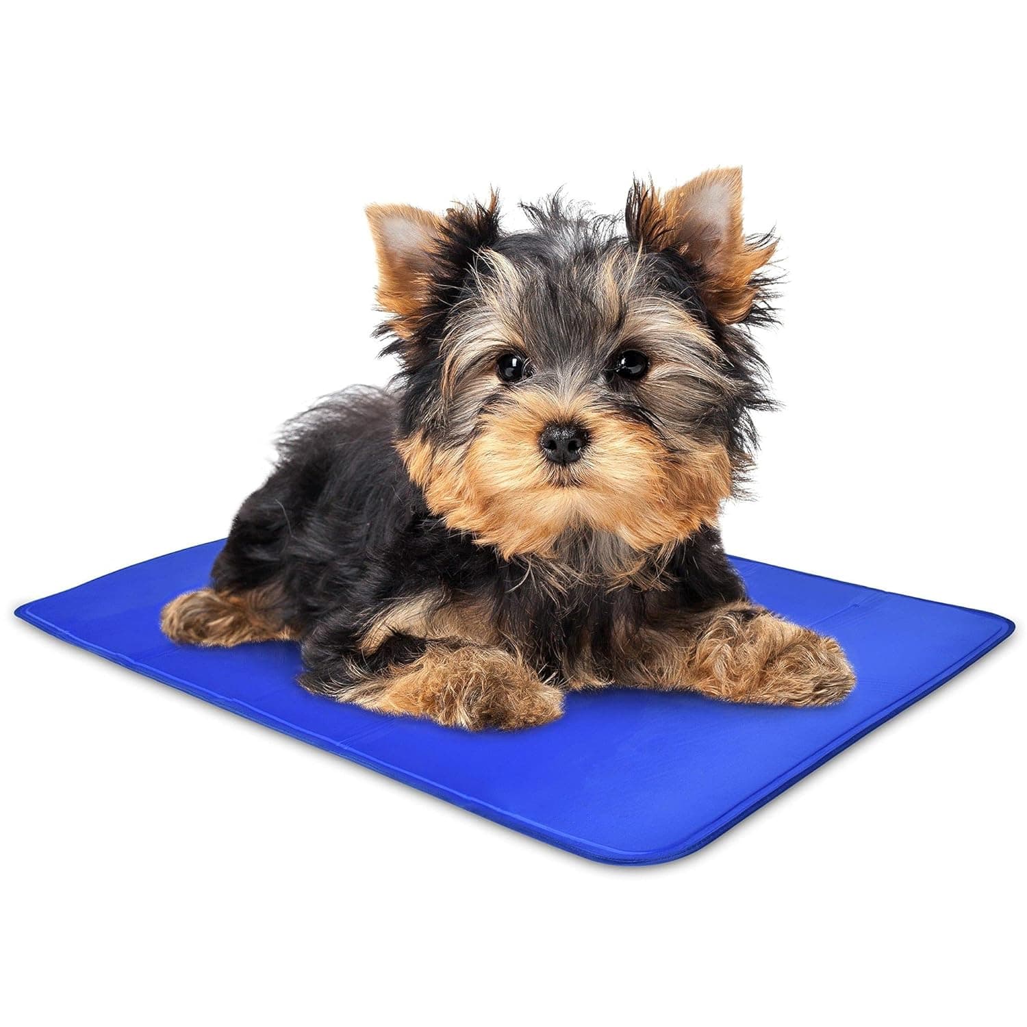 Arf Pets Dog Self Cooling Mat Pad for Kennels, Crates and Beds, Non-Toxic, Durable Solid Cooling Gel Material. No Refrigeration or Electricity Needed, Ex-Small 11.5 x 15.5,Blue