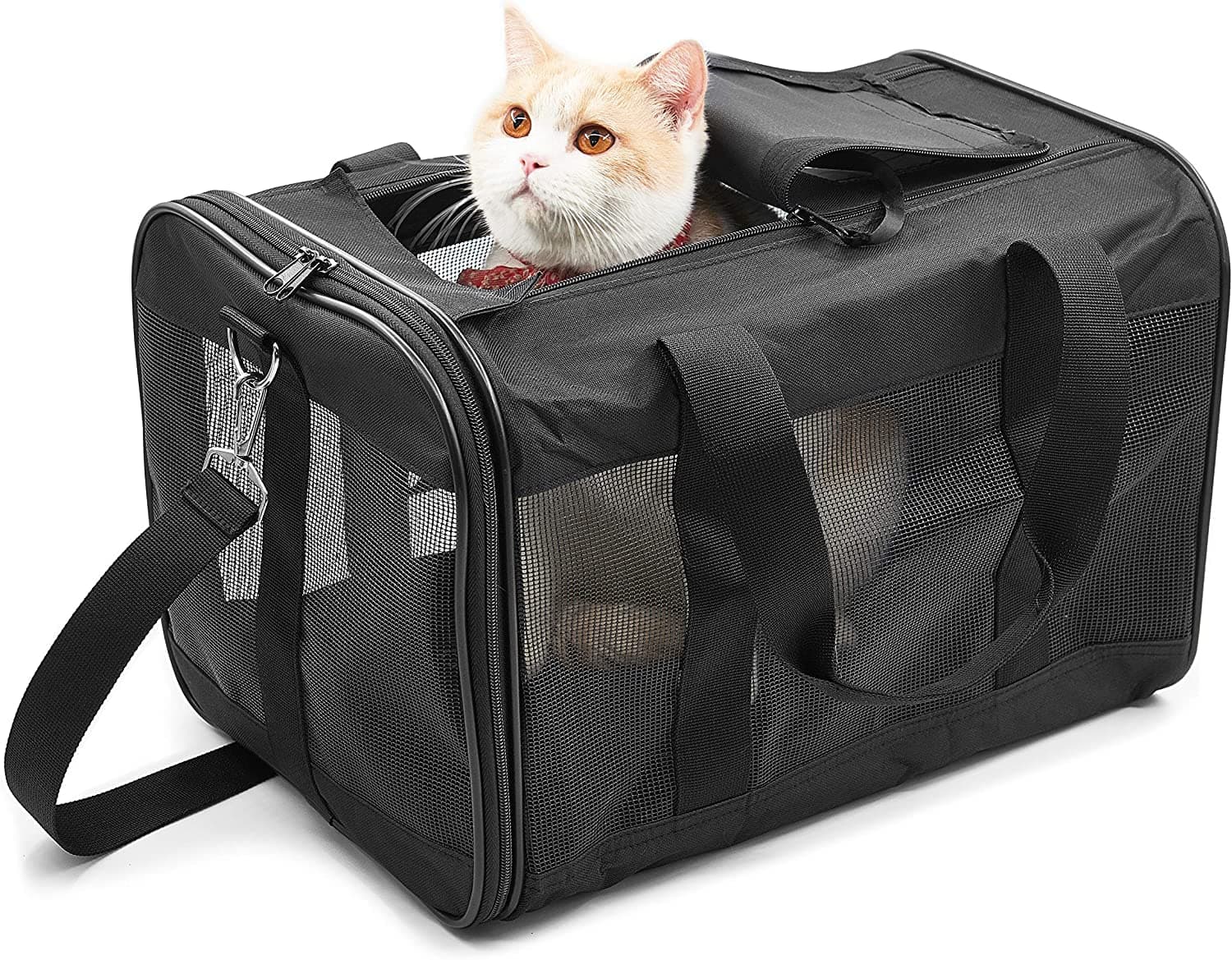 KIKA Pets SPRINGFRAME Carrier Dog Carrier Soft Sided Pet Travel Carrier for Cats, Small Dogs, Kittens or Puppies, Collapsible, Durable, Airline Approved, Travel Friendly Black (L)
